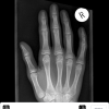 PNG_image_5.png