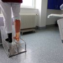 Saltzman_gerade_1.jpg